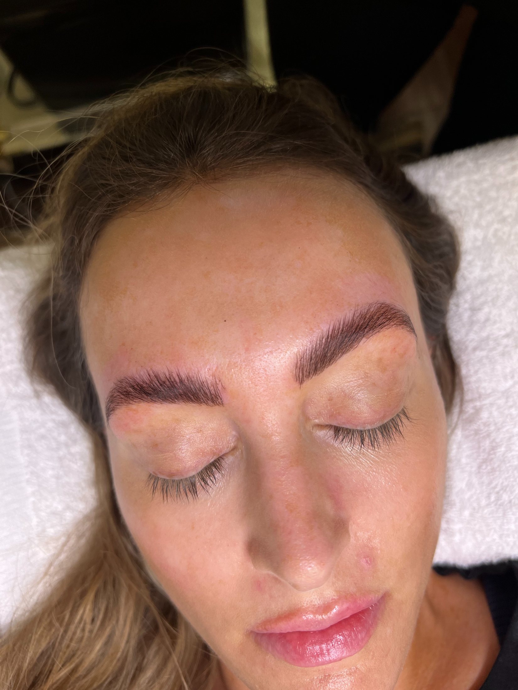Article cover image, brow lamination vs microblading comparison — The Bronze Lily, St. Petersburg, FL