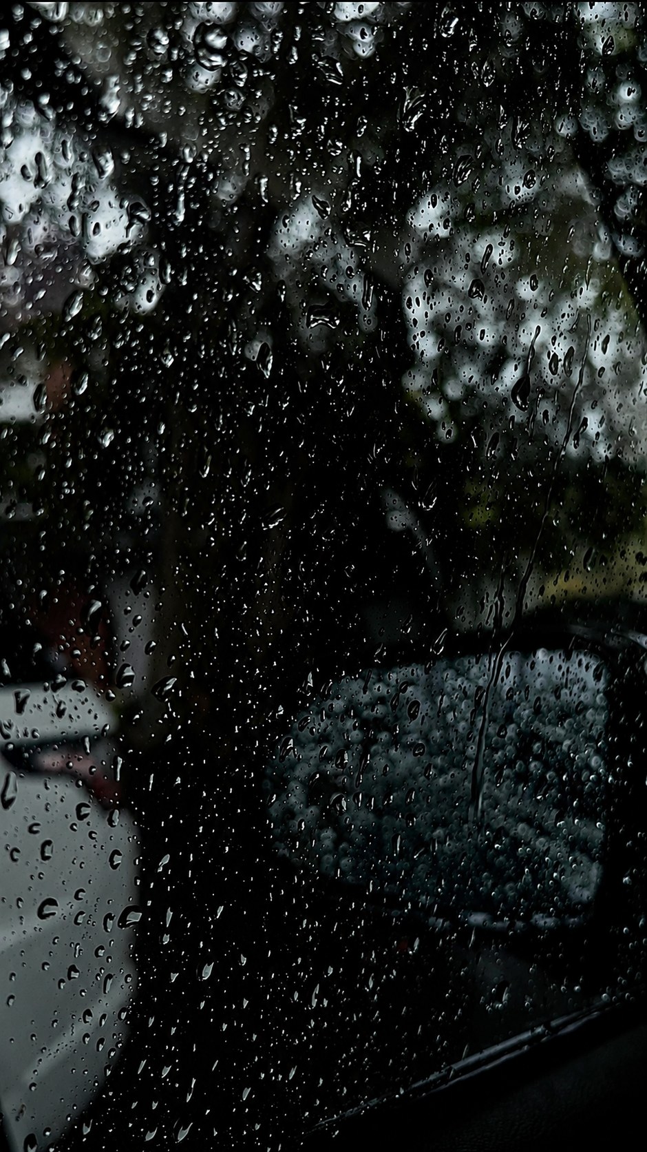 Rainy day in St. Pete, cover — The Bronze Lily, St. Petersburg, FL